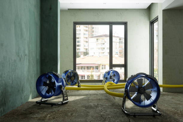 Best Water damage restoration experts  in Brittany Farms The Highlands, PA